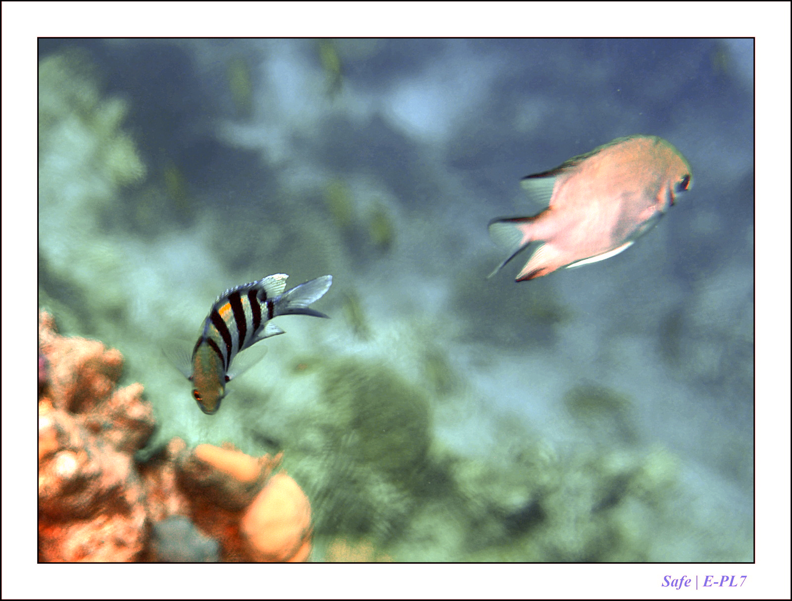 Hurghada - Juillet 2021 - 023